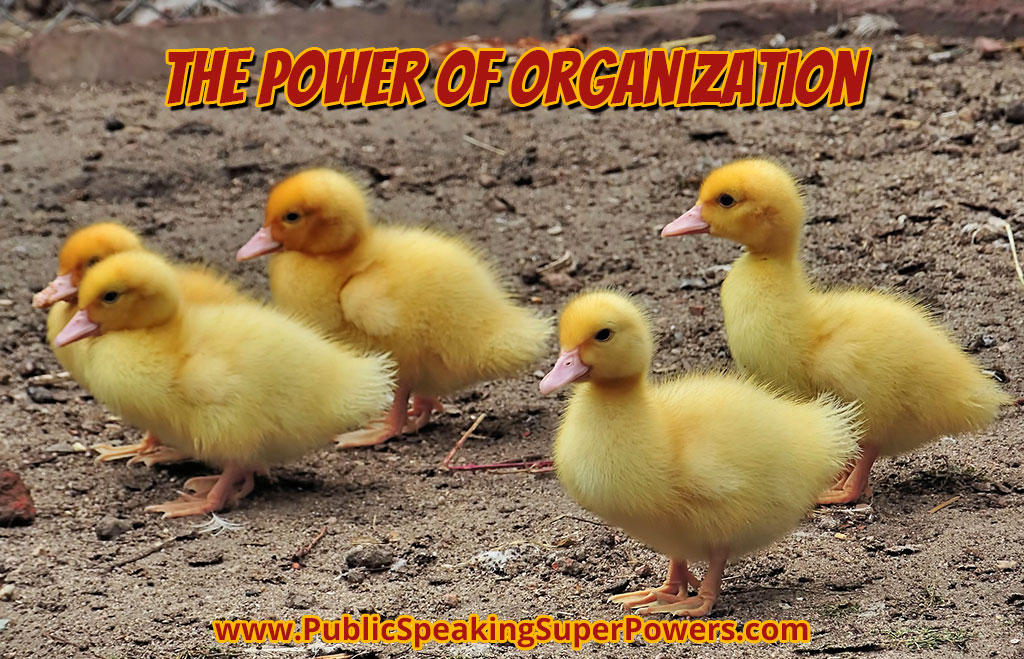 ducks in a row - the power of organization