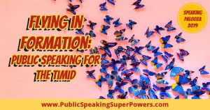 Flying in Formation - Public Speaking for the Timid